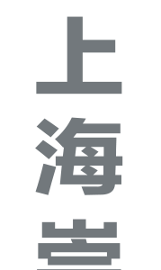 縱向 AI