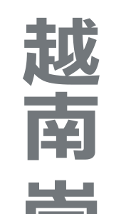 縱向 AI